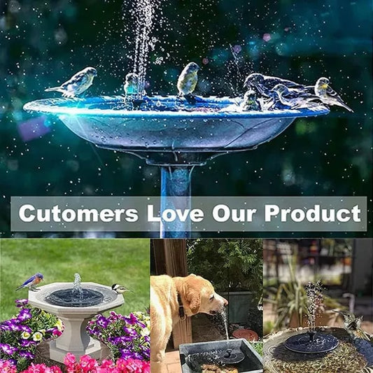 📢Hot Sales 50% OFF🏆Solar-powered bird fountains🐦️