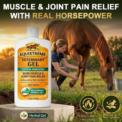 Equixtreme Veterinary Gel