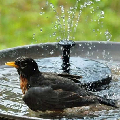 📢Hot Sales 50% OFF🏆Solar-powered bird fountains🐦️