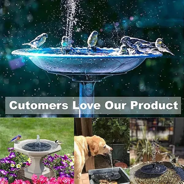 📢Hot Sales 50% OFF🏆Solar-powered bird fountains🐦️