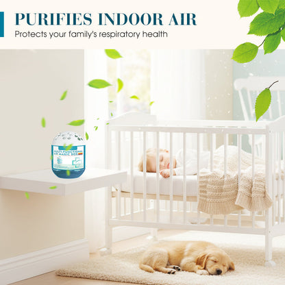 ⏳New Year Sale 50% Off⏰Indoor Air Purification Dust Removal Magic Box🏠🌿