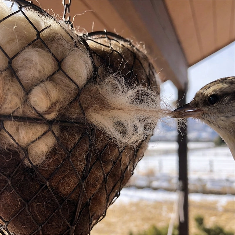 Handmade Bird Nesting Heart